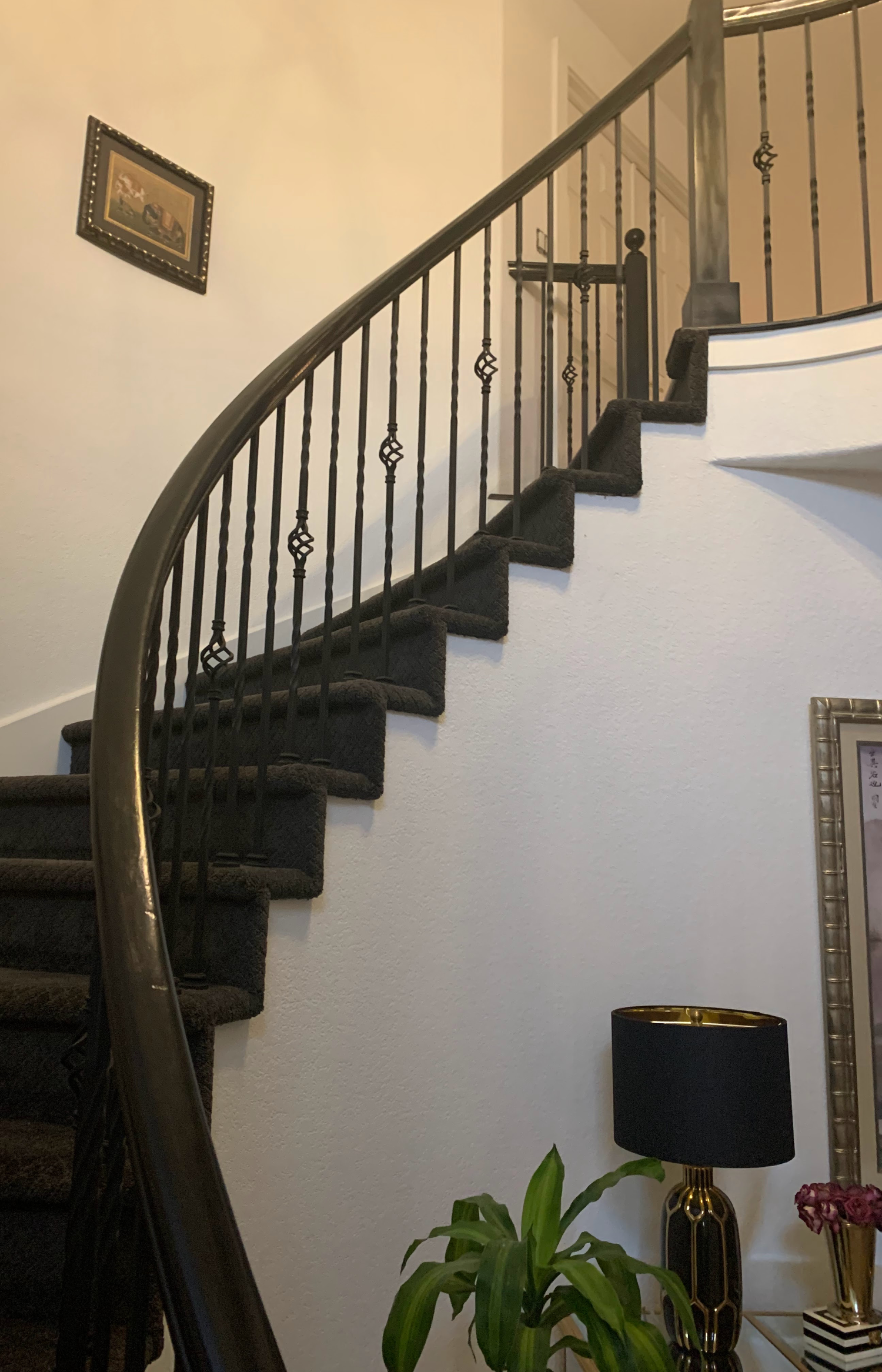 Steel pergola structure